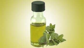Peppermint Essential Oil (Mentha Piperita) Age Group: Infants