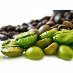 Green Coffee Extract