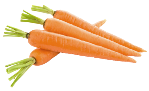 Carrot