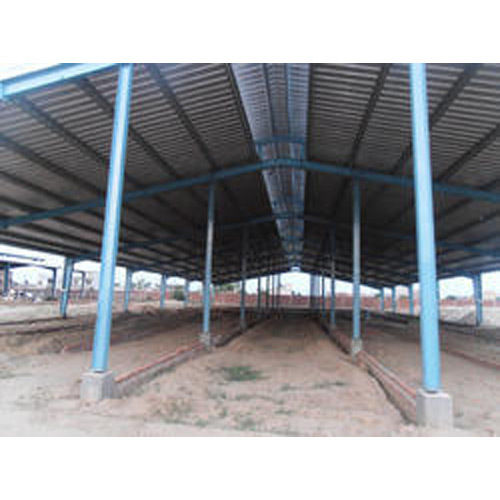 Dairy Farm Shed Structure