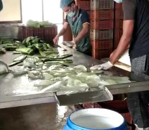 Aloe Vera Shampoo