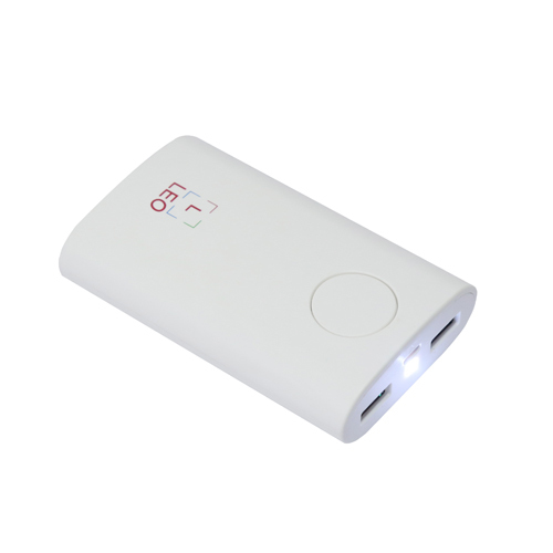 6000 MAH Leo Power Bank