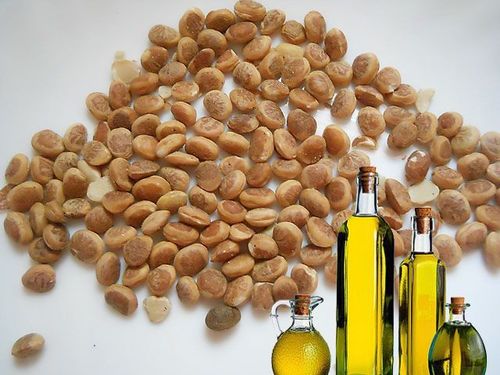 Chironji Carrier Oil Age Group: Infants