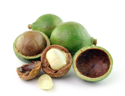 Macadamia Nut Carrier Oil Age Group: Infants