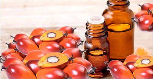 Palm Kernel Carrier Oil Age Group: Infants
