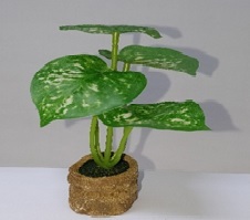 Artificial Philodendron Small - Plastic, Small Size | Easy to Clean, Rust Proof, Ideal for Home Decoration, Wedding Decor, Arts and Crafts