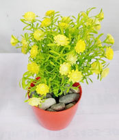 Artificial Flower - PVC Coated, 35 cm x 30 cm , Easy To Clean - Ideal for Gifts, Weddings, Arts And Crafts, Home & Party Decoration