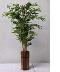 Artificial Bamboo Plants - Plastic Material 200 Cm X 80 Cm | Eco-friendly, Easy To Clean, Ideal For Indoor Decor In Hotels, Offices, And Cafeterias