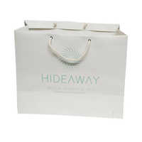Printed Shopping Paper Carry Bag