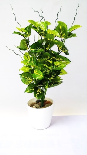Artificial Plant - 60 cm x 60 cm | Eco-Friendly Plastic, Easy to Clean, Perfect for Indoor Aesthetics