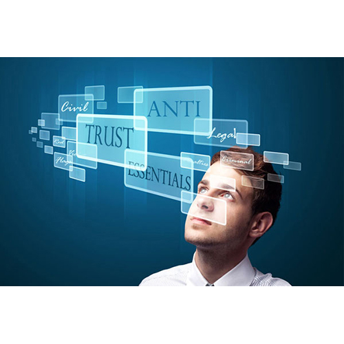 Antitrust & Competition Lawyer