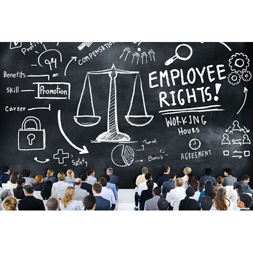 Employment and Labour Law Lawyer By MURALI LAW FIRM