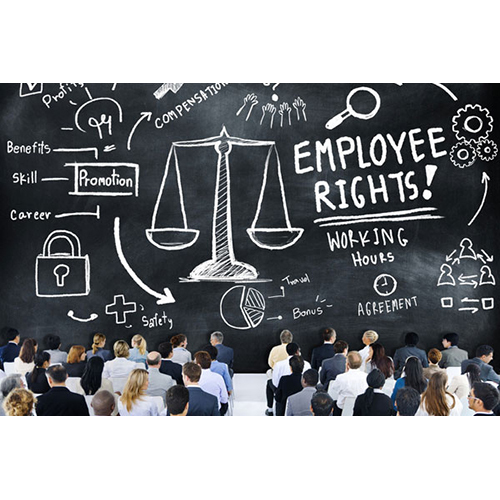 Employment and Labour Law Lawyer