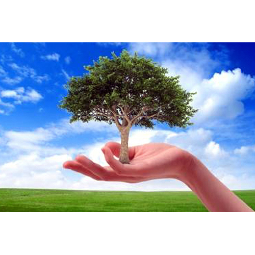 Environmental Consultants