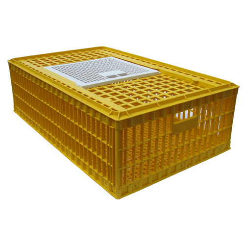 Bird Cage Bird Cage Manufacturers, Suppliers & Dealers