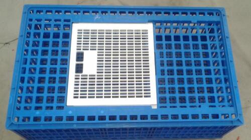 BIRD TRANSPORTATION  CAGE