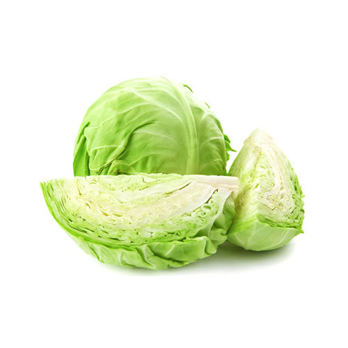 Fresh Cabbage