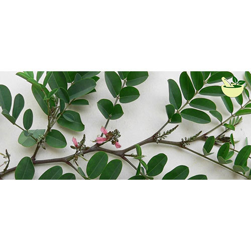 Avari Leaves