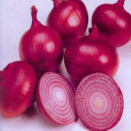 Fresh Onion