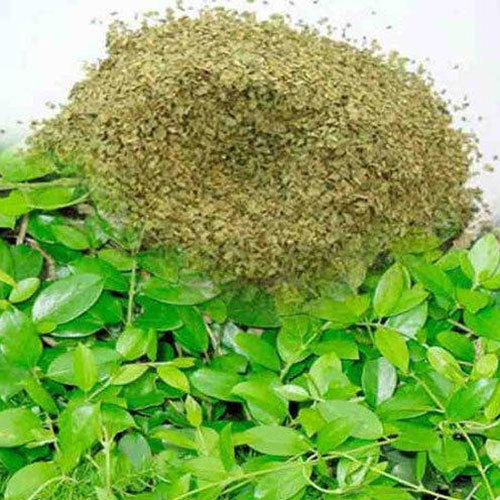 Sirukurinjan Powder