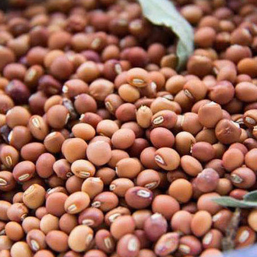 Unprocessed Toor Dal