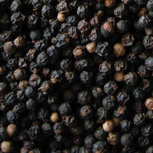 Black Pepper Seeds