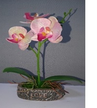 Orchid Artificial Flower - 24cm x 18cm | Plastic Material, Easy To Clean, Meaty Plant, Ideal for Gifts, Ceremony and Home Decoration