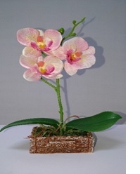 Orchid Artificial Flower - High Class Plastic, 22 cm x 16 cm | Eco-Friendly, Meaty Plant Type, Ideal for Home, Wedding, Ceremony & Party Decoration