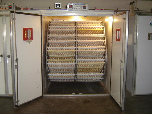 Medium Size Incubator
