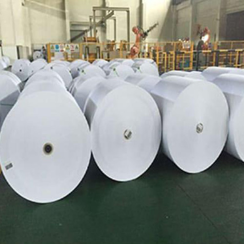 Non Woven Perforated Paper Roll