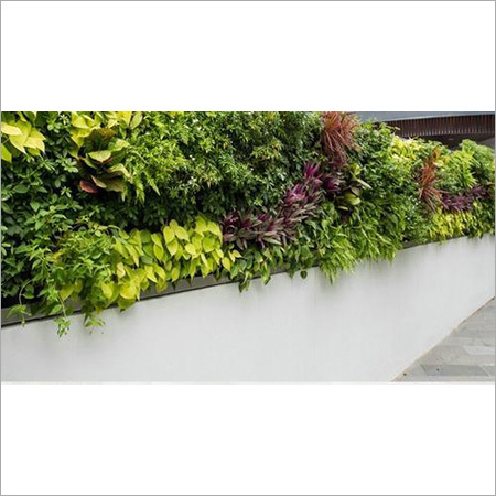 Green Walls
