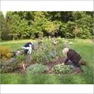 Garden Development Services