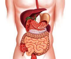 Gastrointestinal drugs