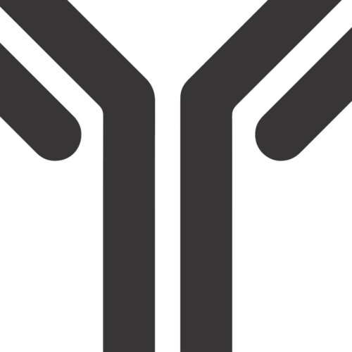 Monoclonal Antibodies