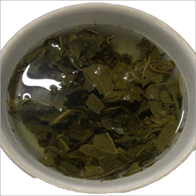 Green Tea - Fresh Broken Tea | Plain Variety, Natural Flavor Profile, Versatile for Brewing and Culinary Applications