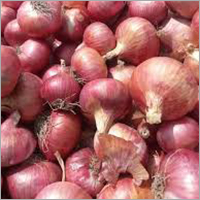 Fresh Onion