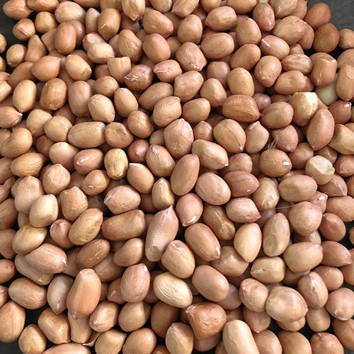 Dried Peanut Kernel