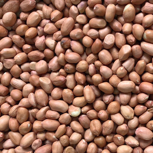 Organic Groundnut