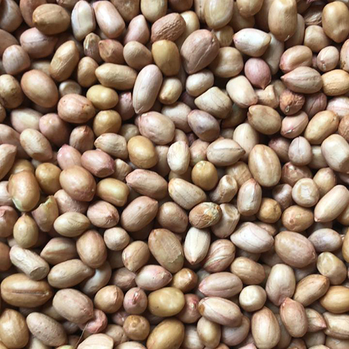 Dried Groundnut Seeds