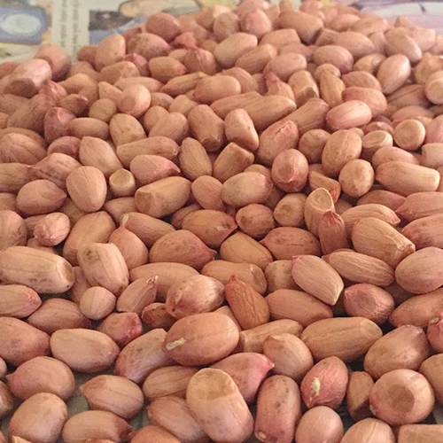 Dried Ground Peanuts