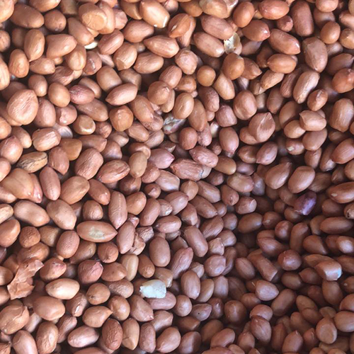 Peanut Java