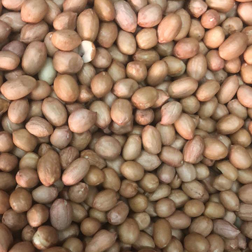 Peanuts Seeds