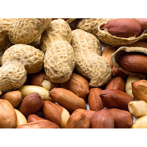 Dried Groundnut
