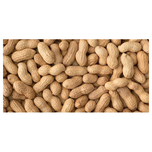 Raw Shelled Groundnut