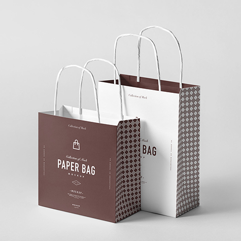 Paper Gift Carry Bags