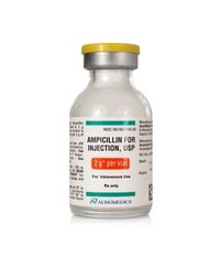 Ampicillin injection