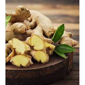 Ginger