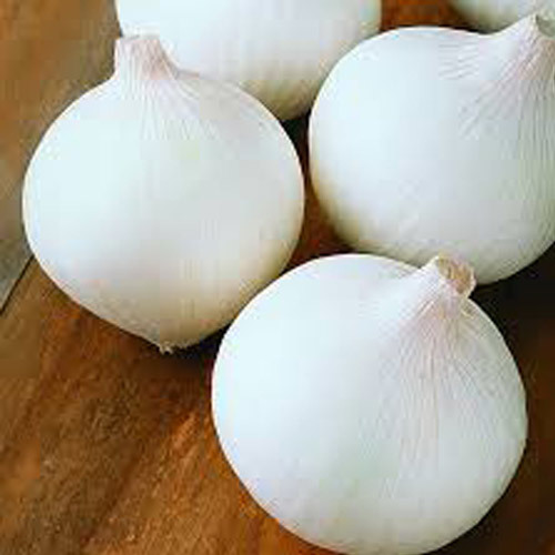 Fresh White Onion