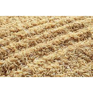 Organic Brown Rice