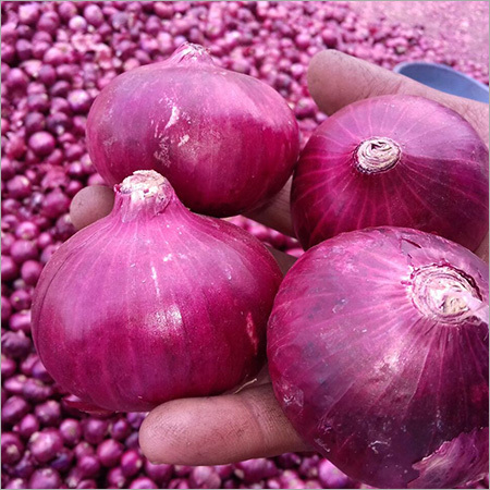 Onion